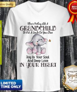 Elephant There’s Nothing Like A Grandchild To Put A Smile On Your Face V-neck