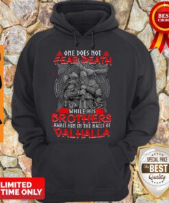 One Does Not Fear Death While His Brothers Await Him In The Halls Of Valhalla Hoodie