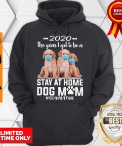 Official 2020 The Year I Got To Be A Stay At Home Labrador Dog Mom Quarantine Hoodie