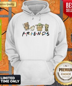 Premium Pooh Penguin Baby Yoda Baby Groot Friends TV Show Hoodie