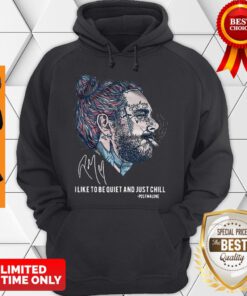 Hot Post Malone Stay Away I Like To Be Quiet And Just Chill Signature Hoodie