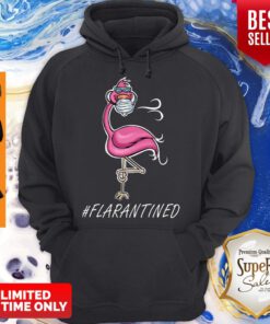 Awesome Flamingo Quarantined Flarantined Coronavirus Hoodie