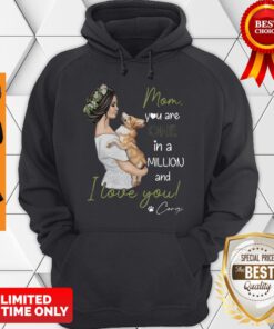 Nice Mom You Are One In A Millon And I Love You Corgi Dog Lovers Hoodie