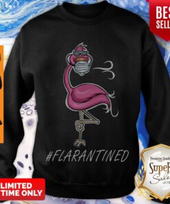 Awesome Flamingo Quarantined Flarantined Coronavirus Sweatshirt