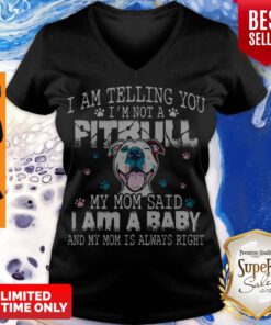 Official Pitbull Baby V-neck