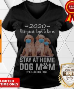 Official 2020 The Year I Got To Be A Stay At Home Labrador Dog Mom Quarantine V-neck
