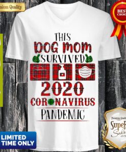 Premium This Dog Mom Survived 2020 Coronavirus Pandemic V-neck