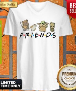 Premium Pooh Penguin Baby Yoda Baby Groot Friends TV Show V-neck