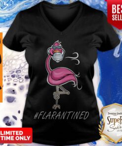 Awesome Flamingo Quarantined Flarantined Coronavirus V-neck