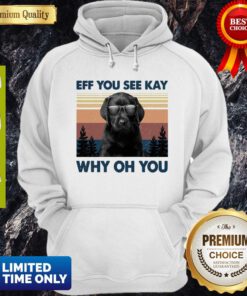 Labrador Eff You See Kay Why Oh You Vintage Hoddie