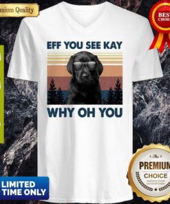 Labrador Eff You See Kay Why Oh You Vintage V-neck