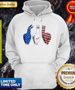 Llama American Flag Veteran Independence Day Hoddie