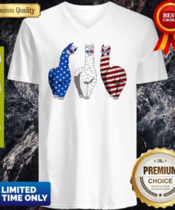 Llama American Flag Veteran Independence Day V-neck