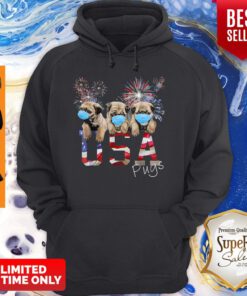 Pugs Wear Mask Usa Flag Firework Independence Day Hoodie
