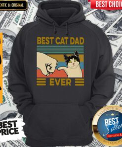 Vintage Best Cat Dad Ever Hoodie