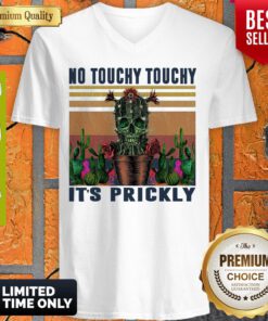 Awesome No Touchy Touchy It’s Prickly Vintage V-neck