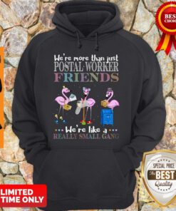 Flamingo Were More Than Just Postal Worker Friends Were Like Really Small Gang Hoodie