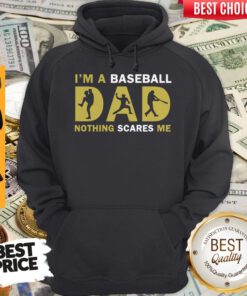 Im A Baseball Dad Nothing Scares Me Hoodie