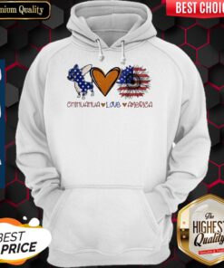 Chihuahua Love Heart Sunflower American Flag Veteran Independence Day Hoodie