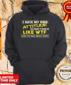 I Hate My Own Attitude Sometimes Like WTF Are You Mad About Now Hoodie