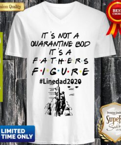 It's Not A Quarantine Bod It's A Fathers Figure Line Dad 2020 V-neck