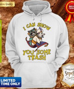 Nice I Can Show You Some Trash Racoon Possum Hoodie