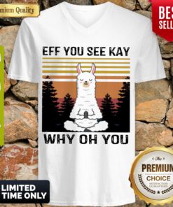 Nice Llama Yoga Eff You See Kay Why Oh You Vintage V-neck