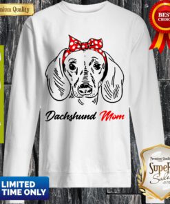 Pretty Dachshund Mom Sweatshirt