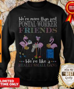 Flamingo Were More Than Just Postal Worker Friends Were Like Really Small Gang Sweatshirt