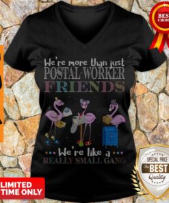 Flamingo Were More Than Just Postal Worker Friends Were Like Really Small Gang V-neck