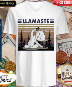 Original Llamaste Yoga Vintage V-neck