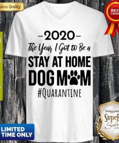Vintage 2020 The Year I Got To Be A Stay At Home Dog Mom #Quarantine V-neck