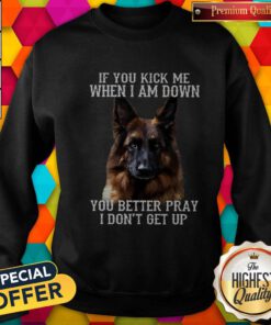 Cute Dog If You Kick Me When I Am Down You Better Pray I Don’t Get Up Sweatshirt