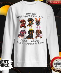 I Don’t Care What Anyone Thinks Of Me Except Dachshunds I Want Dachshunds To Like Me Sweatshirt
