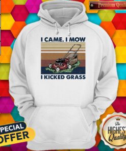 Lawn Mower I Came I Mow I Kicked Grass Vintage Hoodie