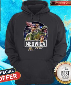 Meowica Cat T Rex Dinosaur 4th Of July Hoodie
