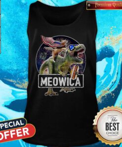 Meowica Cat T Rex Dinosaur 4th Of July Tank Top