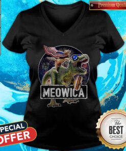 Meowica Cat T Rex Dinosaur 4th Of July V-neck