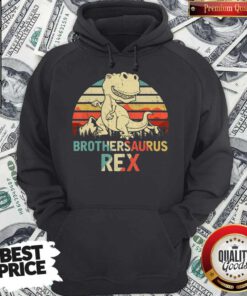 Vintage Brothersaurus Rex Dinosaur Father’s Day Hoodie
