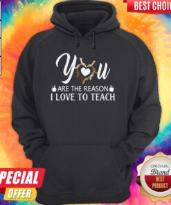 Awesome You Are The Reason I Love To Teach Hoodie