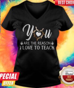 Awesome You Are The Reason I Love To Teach V-neck