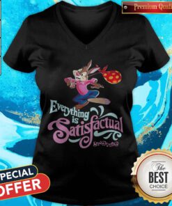 Best Everything Is Satisfactual Splash Mountain V-neck