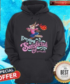 Best Everything Is Satisfactual Splash Mountain Hoodie