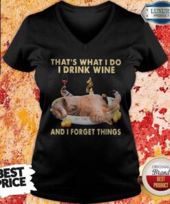 Cute Cat Thats What I Do I Drink Wine And I Forget Things V-neck