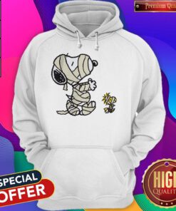 Cute Snoopy And Woodstock Mummies Hoodie