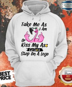 Flamingo Take Me As I Am Or Kiss My Ass Eat Shit And Step On A Lego Hoodie