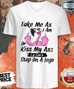 Flamingo Take Me As I Am Or Kiss My Ass Eat Shit And Step On A Lego V-neck