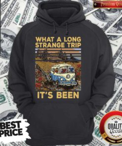 Grateful Dead What A Long Strange Trip It’s Been Vintage Hoodie