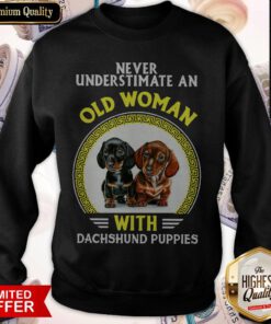 Hot Never Underestimate An Old Woman With Dachshund Puppies Sweatshirt