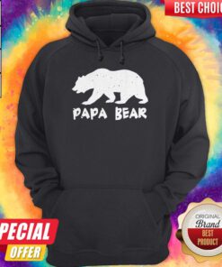 Nice Papa Bear Funny Matching Hoodie